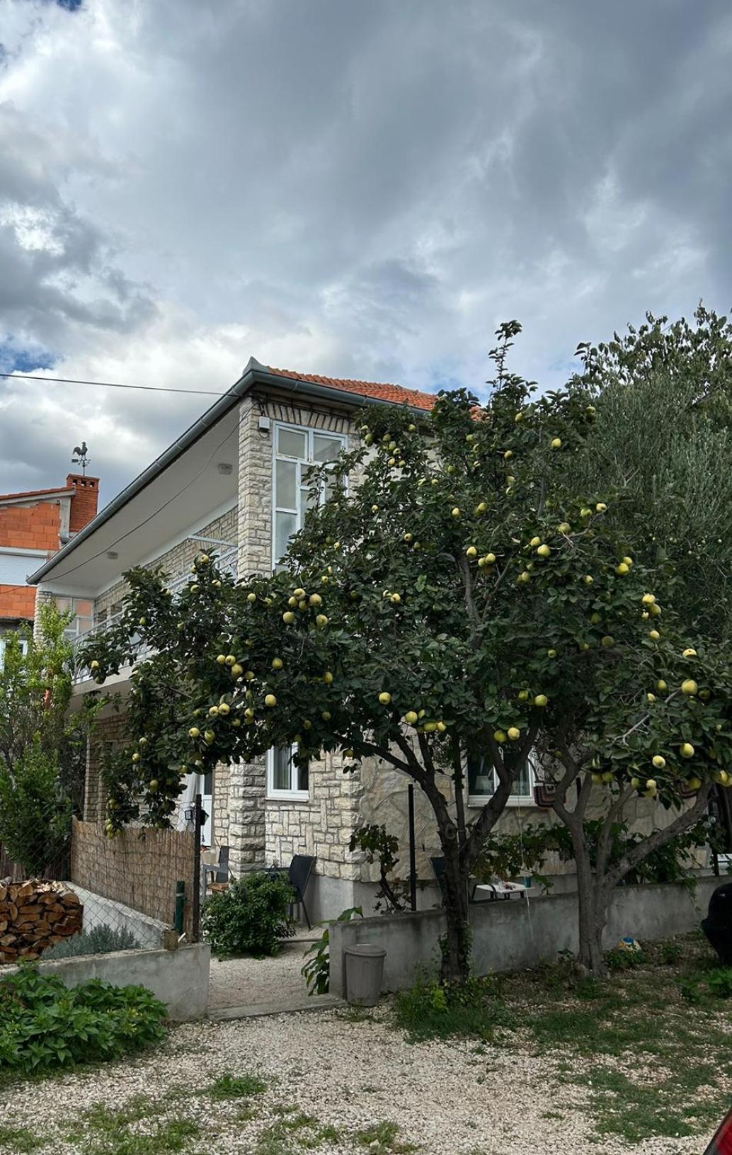 Villa Jadran Zadar Free Parking Sea View Екстер'єр фото